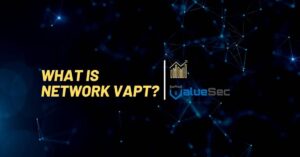 What is Network VAPT
